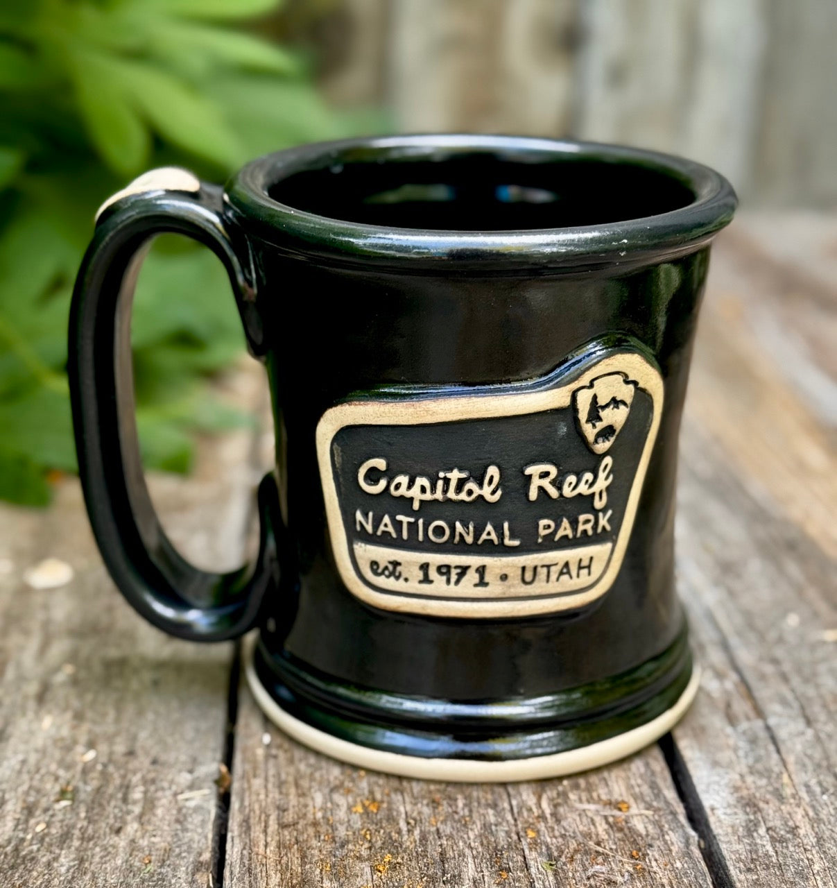 Capitol Reef National Park Mug